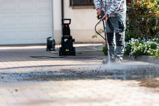 Best Roof Pressure Washing  in Black Point Green Point, CA