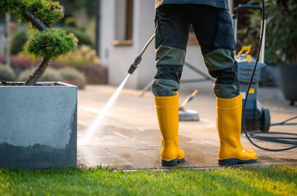 Best Exterior Home Cleaning  in Black Point Green Point, CA